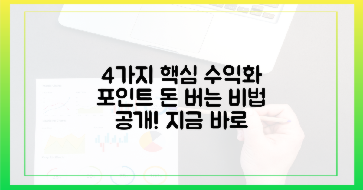 4가지 수익화 포인트