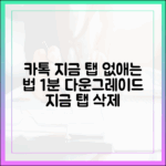 카톡 '지금' 탭 없이! 1분 다운그레이드
