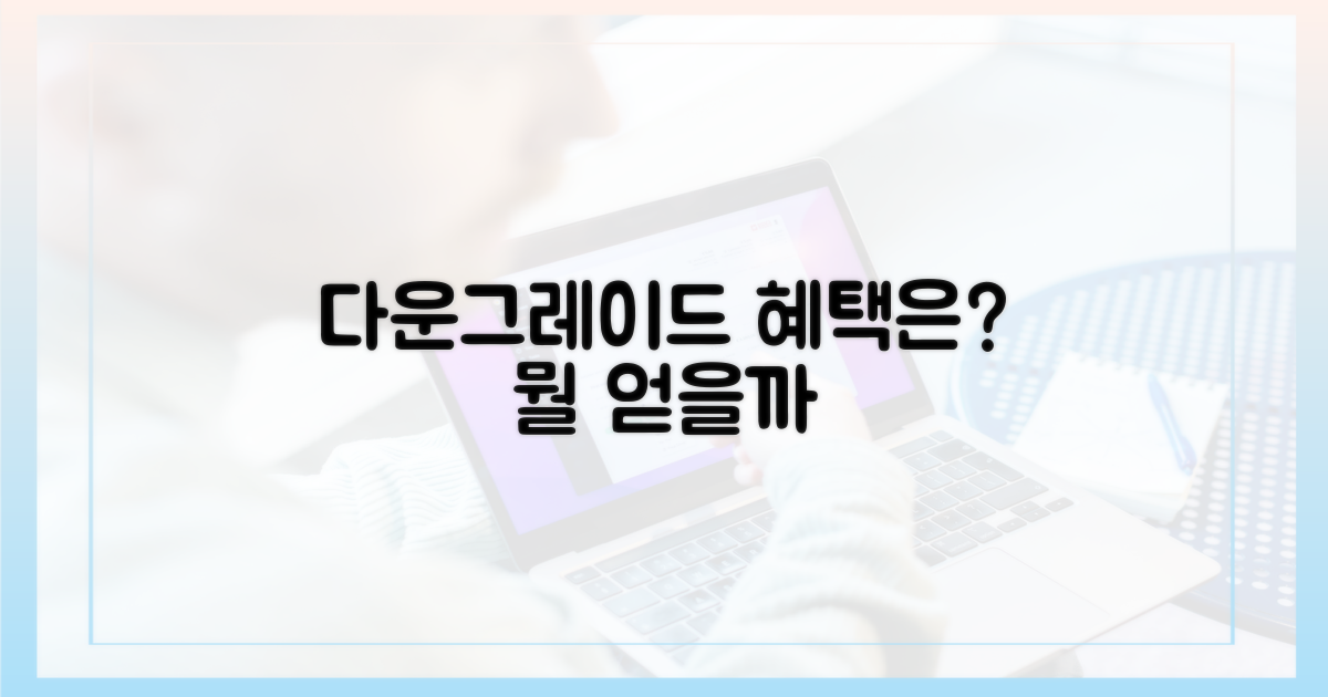 다운그레이드로 뭘 얻을까?