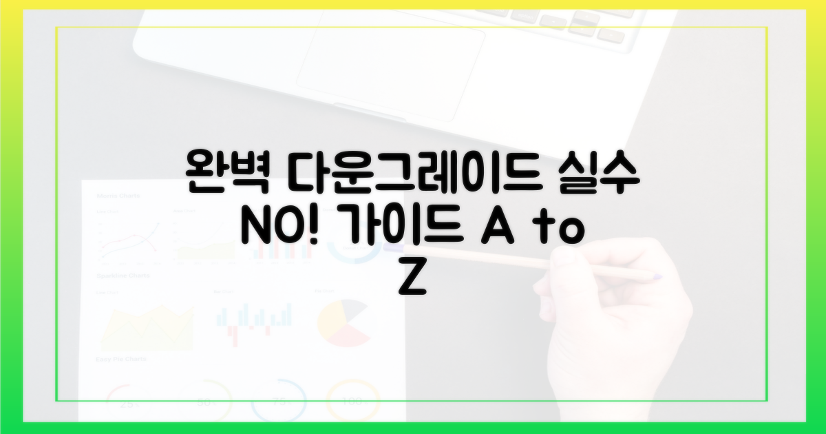 실수 없이 다운그레이드하려면?
