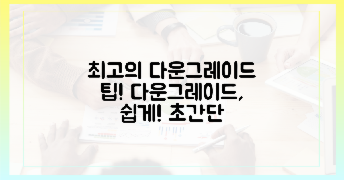 전문가가 말하는 다운그레이드 팁!