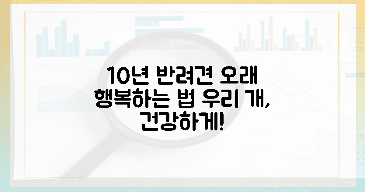 10년, 반려견과 오래 행복하는 법