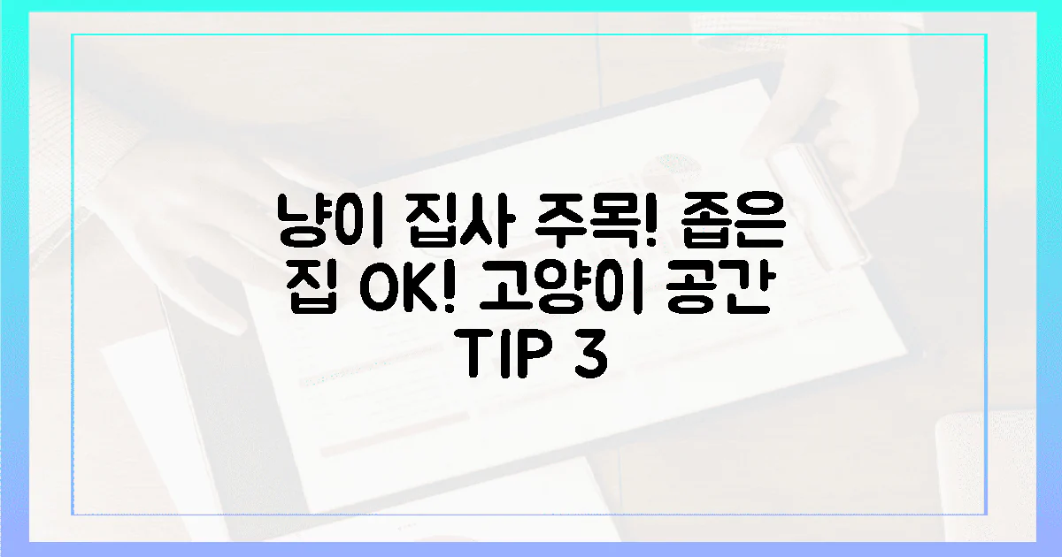 좁은 집, 냥이 공간 3가지 팁!