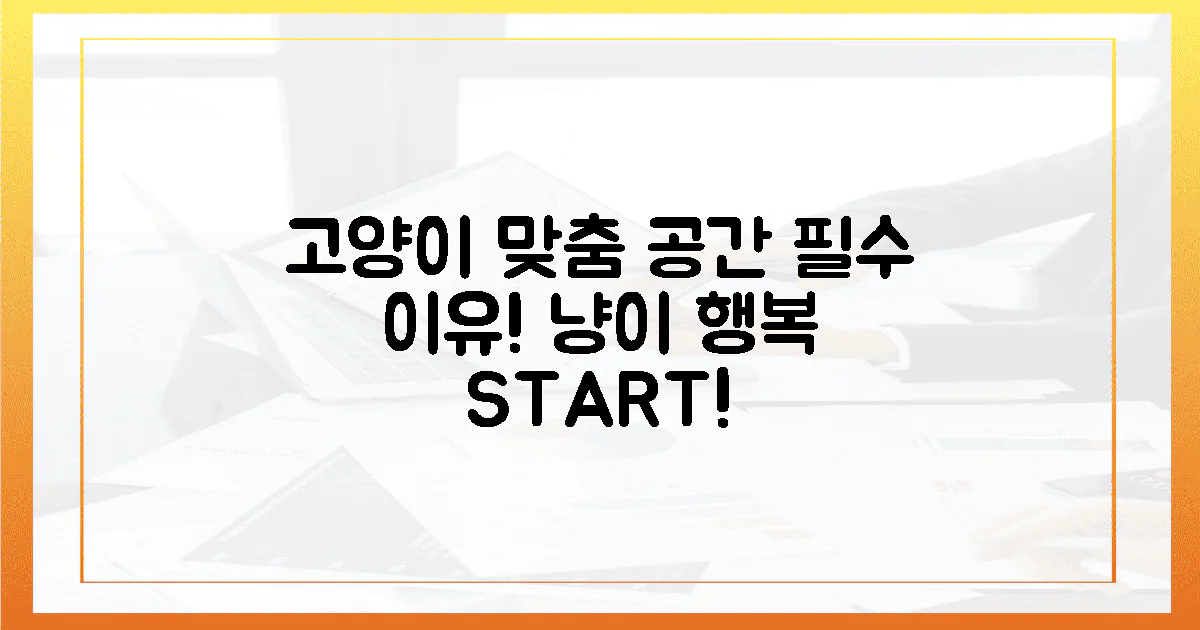 냥이 맞춤 공간, 왜 필요할까?