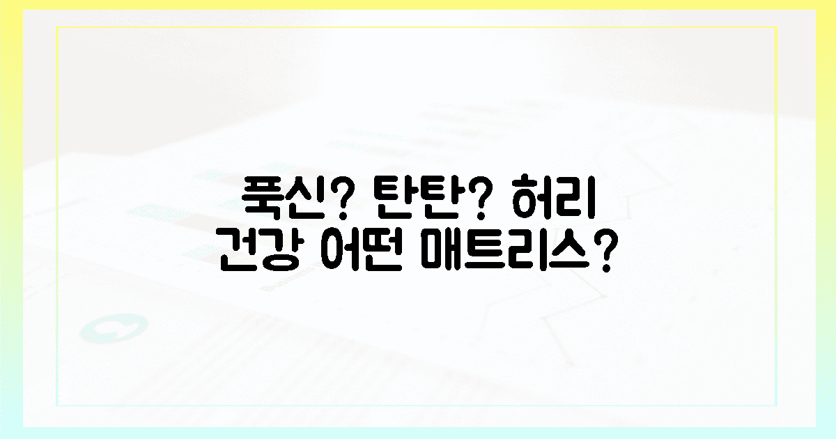 푹신함 vs 탄탄함, 당신의 허리는?