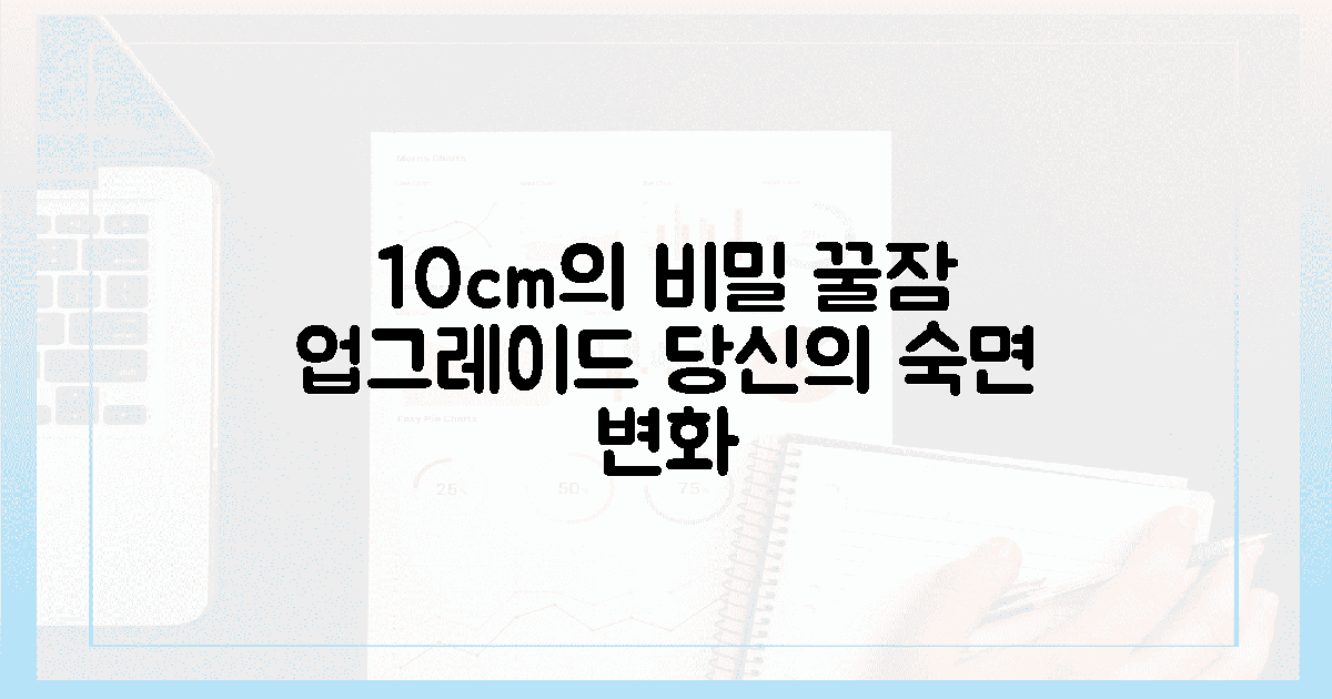10cm 차이, 당신의 꿀잠을 바꿀 수 있을까?