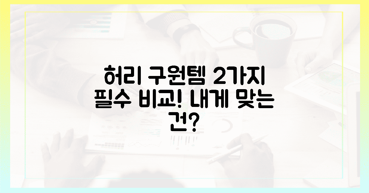 2가지 핵심 비교: 내 허리 구원템은?