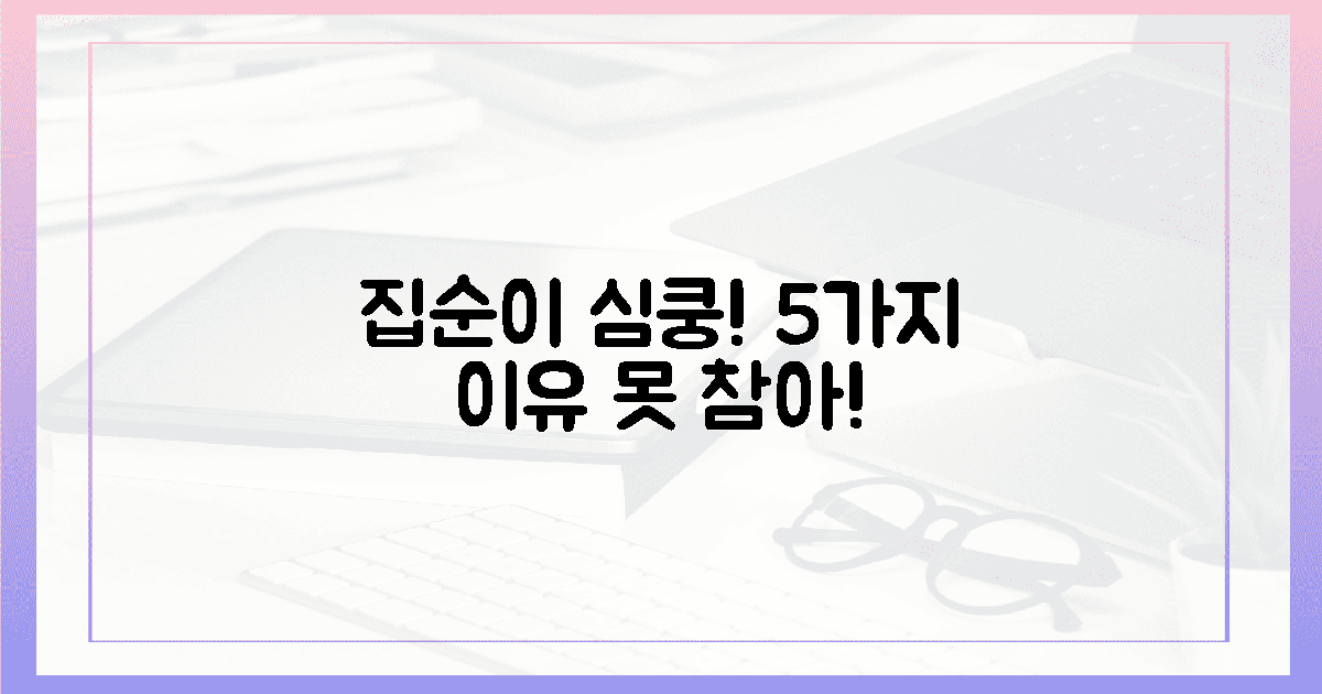 5가지 이유, 집순이가 반할 수밖에 없는!