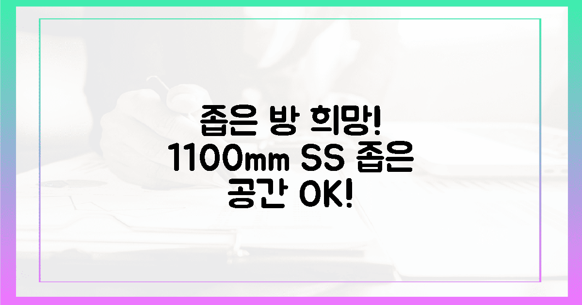 1100mm SS, 좁은 방의 희망!
